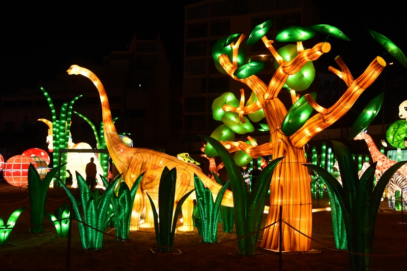 WONDERLAND A magical city of lights